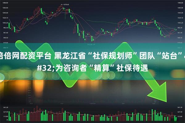 倍倍网配资平台 黑龙江省“社保规划师”团队“站台” 为咨询者“精算”社保待遇