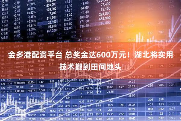 金多港配资平台 总奖金达600万元!湖北将实用技术搬到田间地头