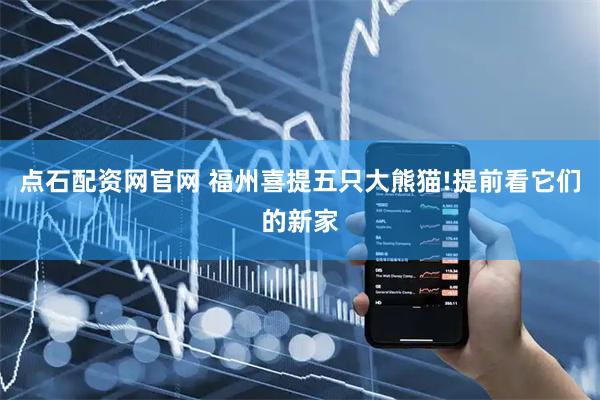 点石配资网官网 福州喜提五只大熊猫!提前看它们的新家