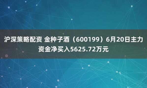 沪深策略配资 金种子酒（600199）6月20日主力资金净买入5625.72万元